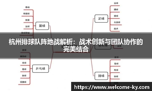 杭州排球队阵地战解析:战术创新与团队协作的完美结合
