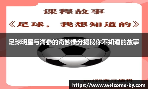 足球明星与海参的奇妙缘分揭秘你不知道的故事